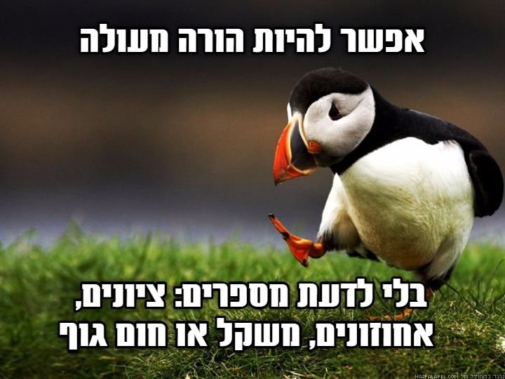 מצחיק פמיניזם פינגווין