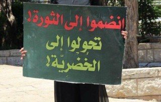 13607939_484123155111122_52573403_n