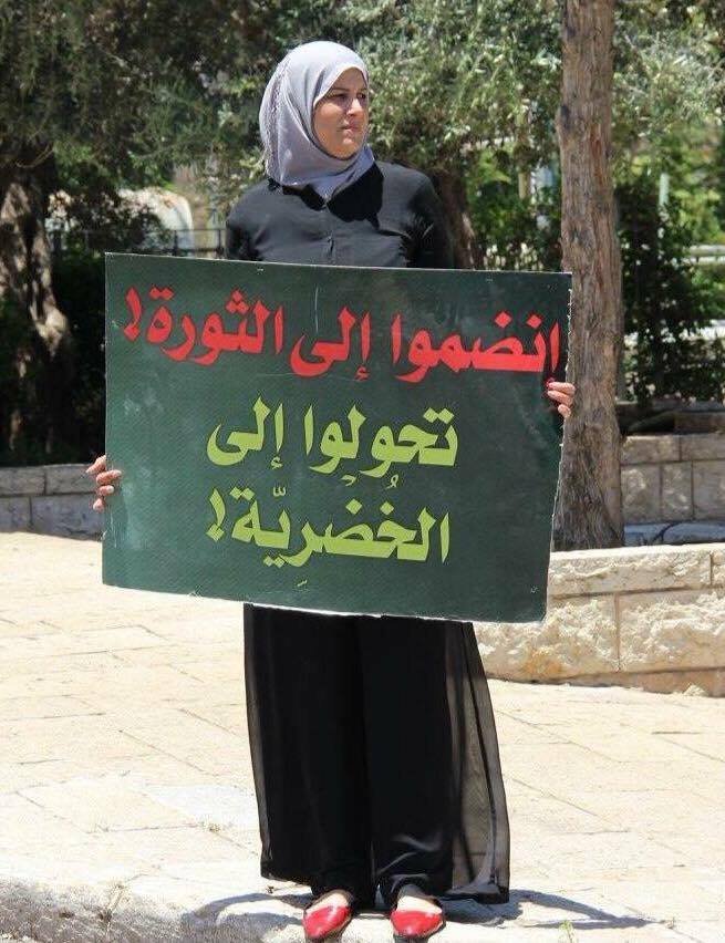 13607939_484123155111122_52573403_n