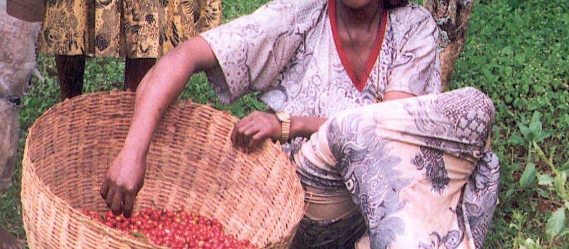 Female_coffee_farmer_in_Ethiopia_(5762538117)